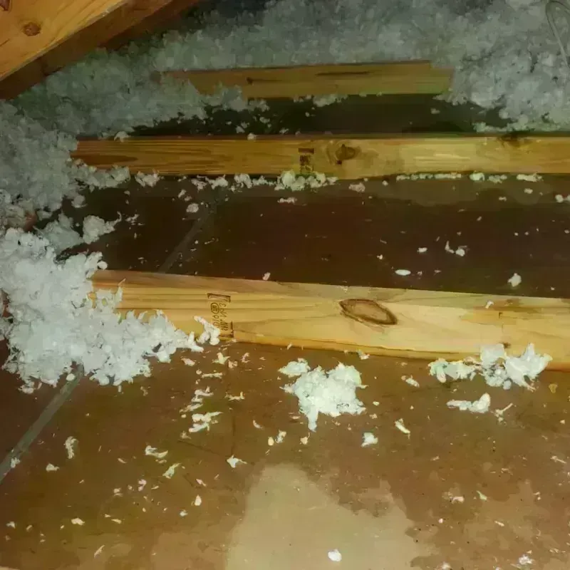 Attic Water Damage in Waverly, MN