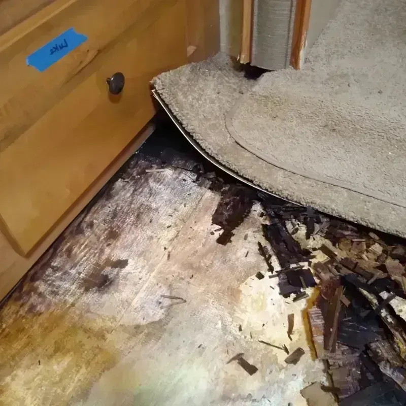 Best Wood Floor Water Damage Service in Waverly, MN